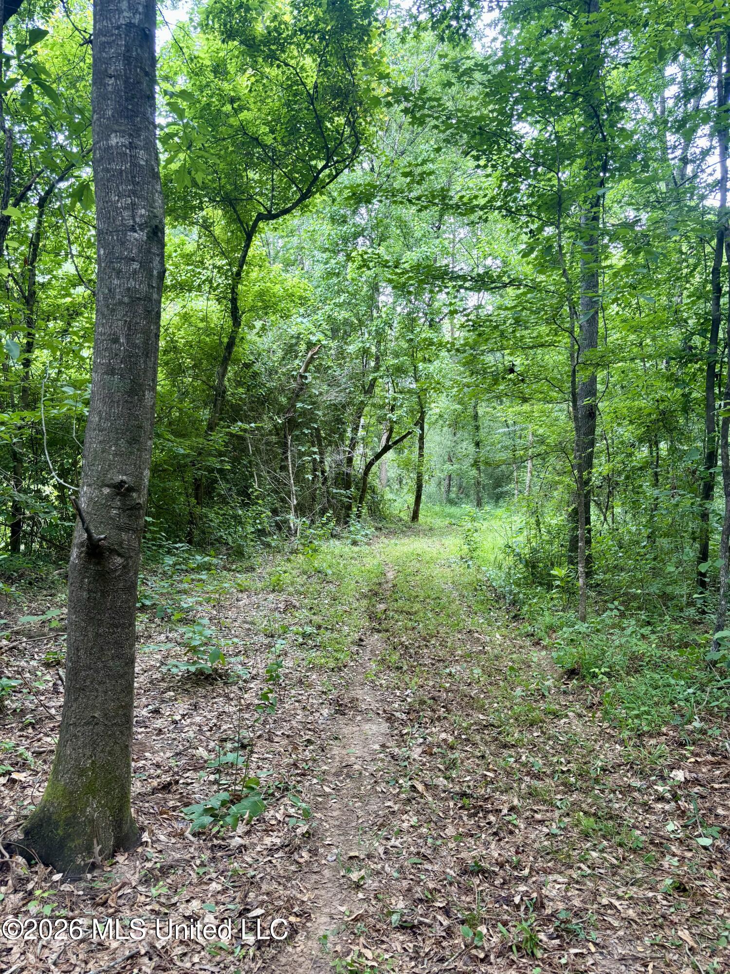 8119 Dry Grove Road Raymond, MS 39154 - Photo 11 of 45 IMG_4725