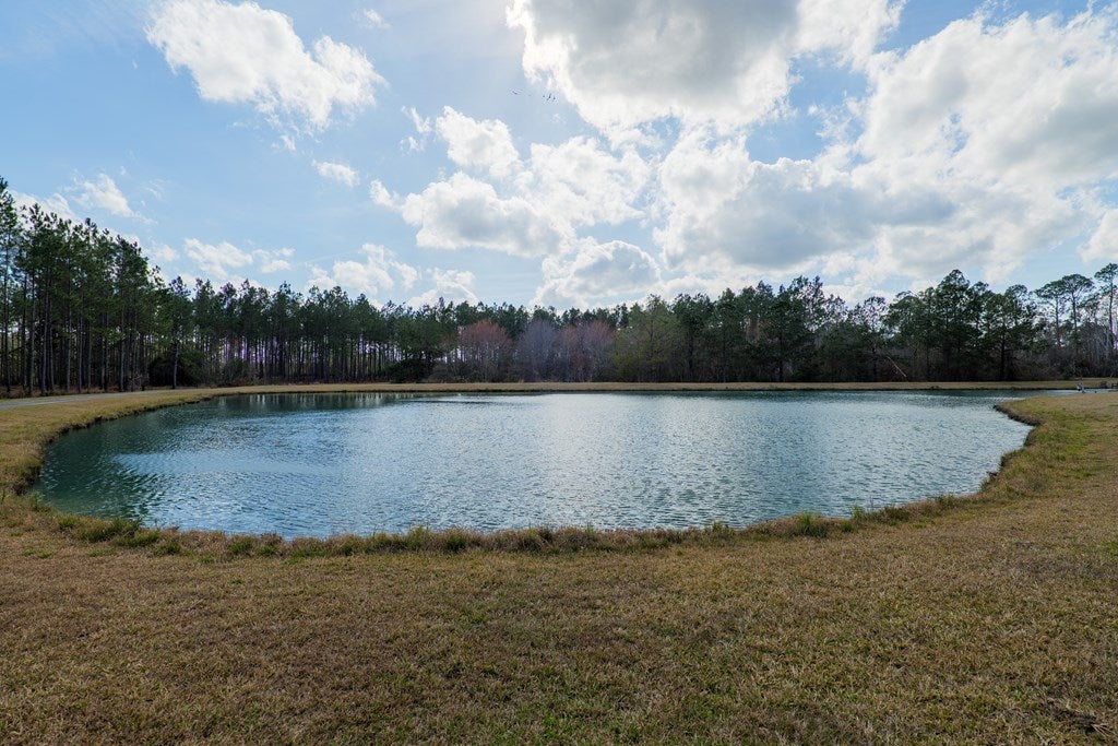 1617 White Pond Road Nashville, GA 31639 - Photo 49 of 86 Gallery Image 49