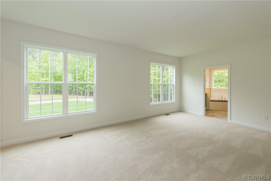 16319 Longlands Road Chesterfield, VA 23832 - Photo 11 of 22 Gallery Image 11