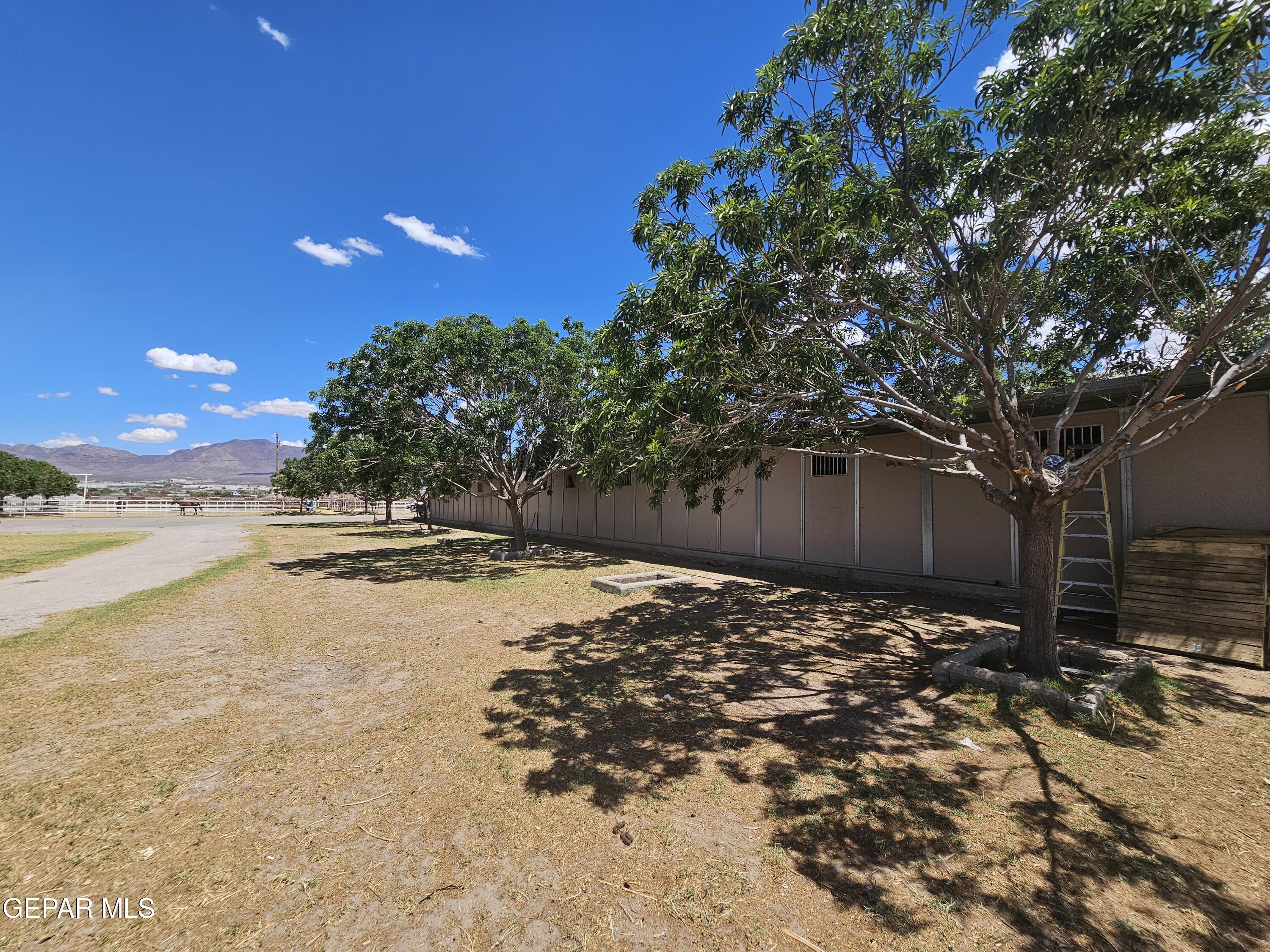 6651 Strahan Road El Paso, TX 79932 - Photo 23 of 60 a backyard of a house with lots of green space