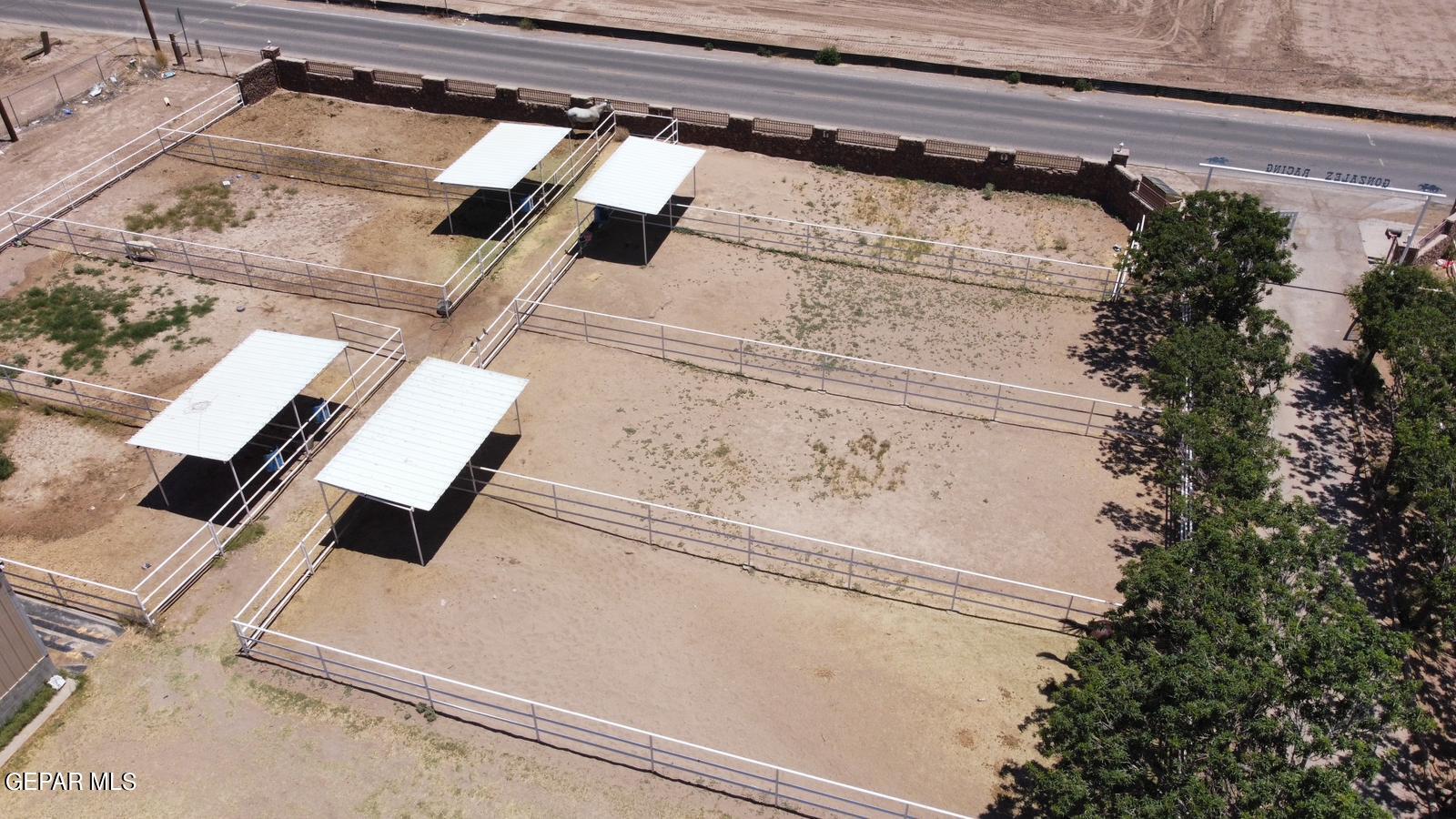 6651 Strahan Road El Paso, TX 79932 - Photo 5 of 60 a view of a backyard with plants