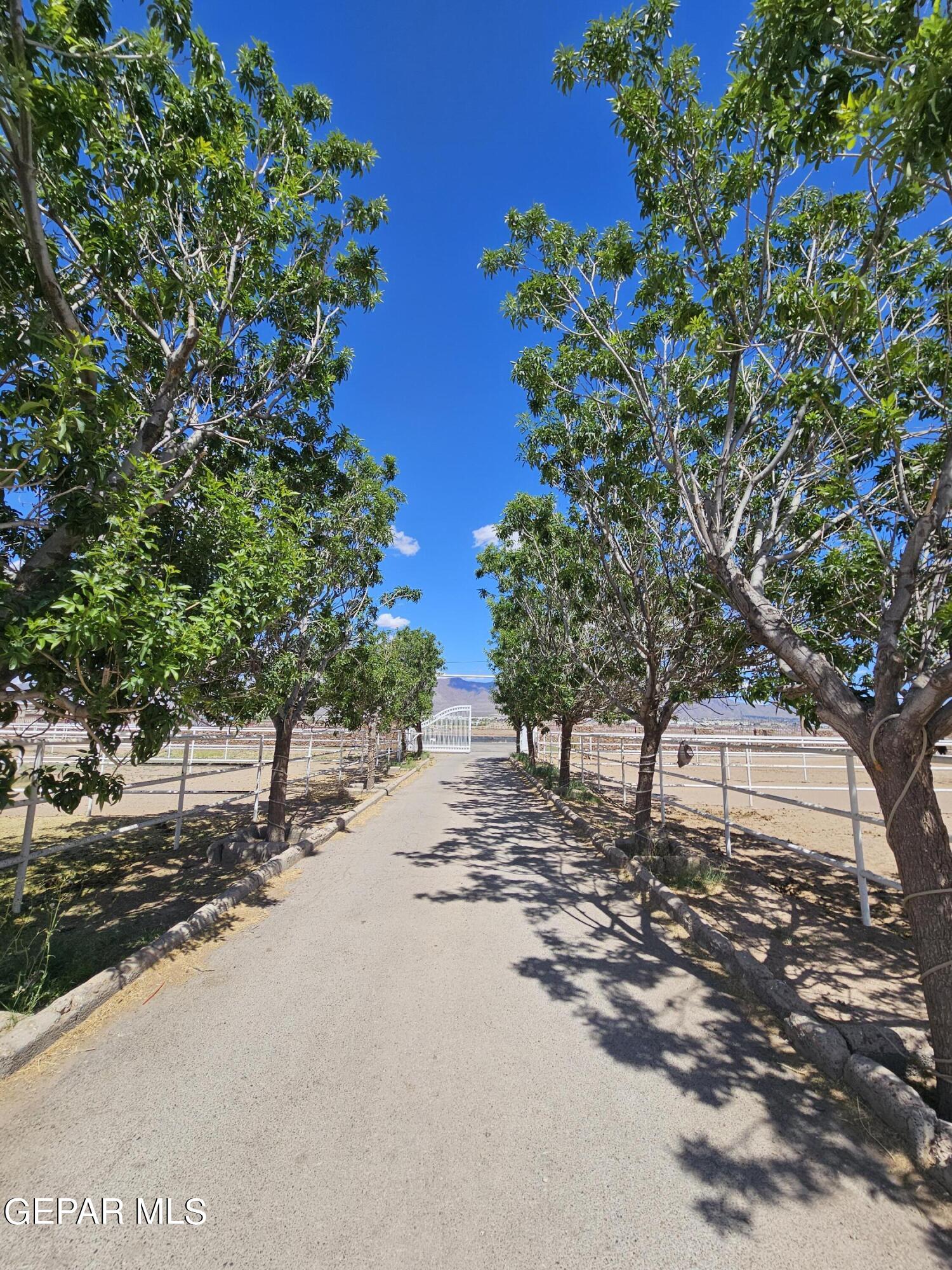 6651 Strahan Road El Paso, TX 79932 - Photo 60 of 60 a view of a road with a tree