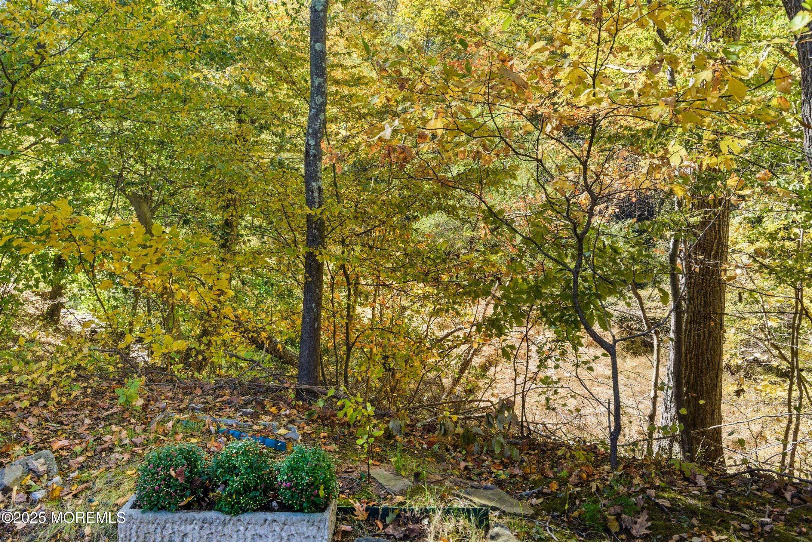 32 Ellsworth Court Red Bank, NJ 07701 - Photo 20 of 32 a view of forest