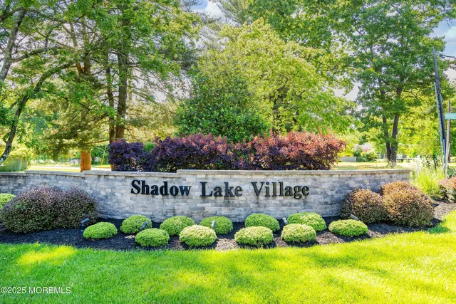 a view of garden with flowers