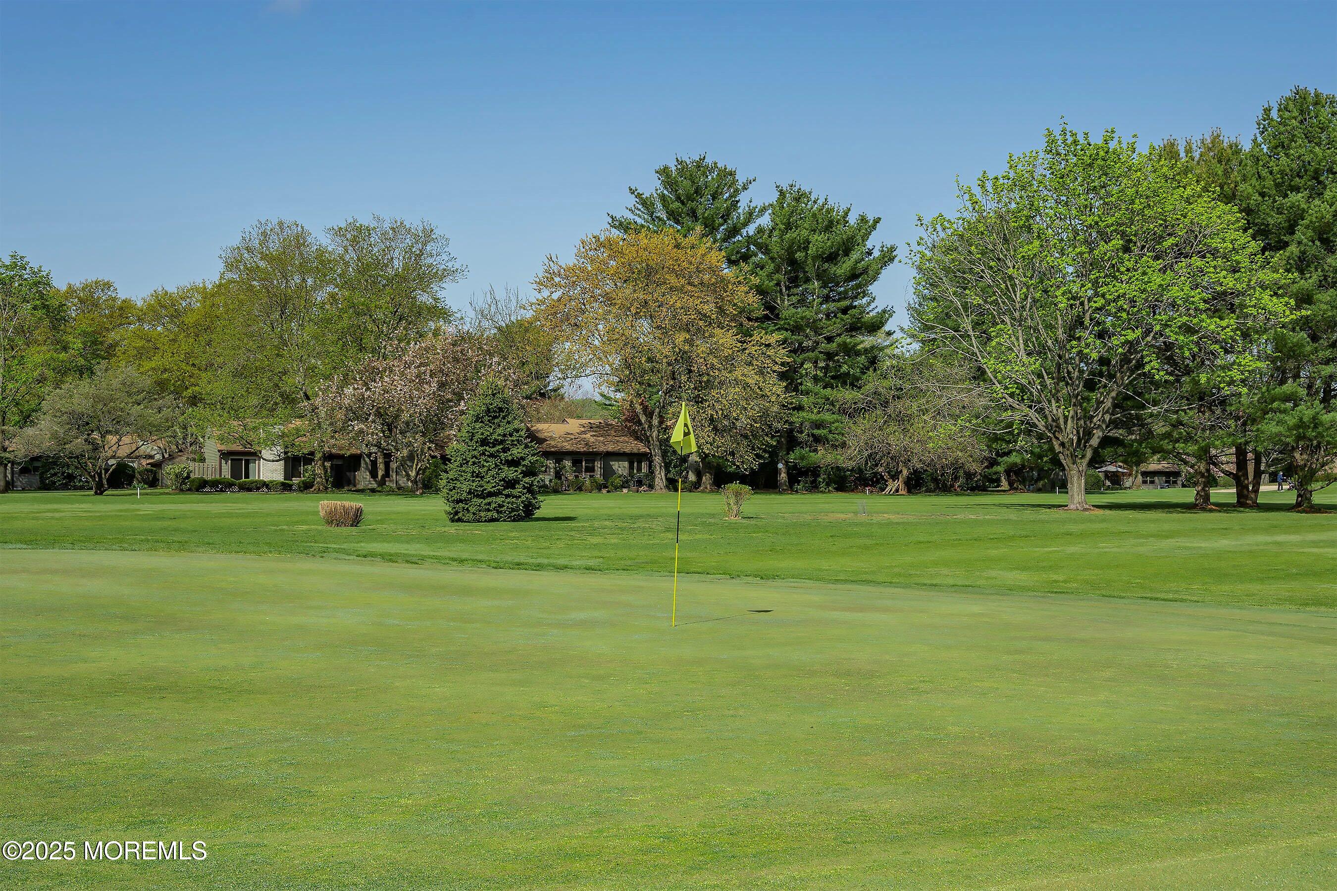 32 Ellsworth Court Red Bank, NJ 07701 - Photo 28 of 32 a grassy field with trees in the background