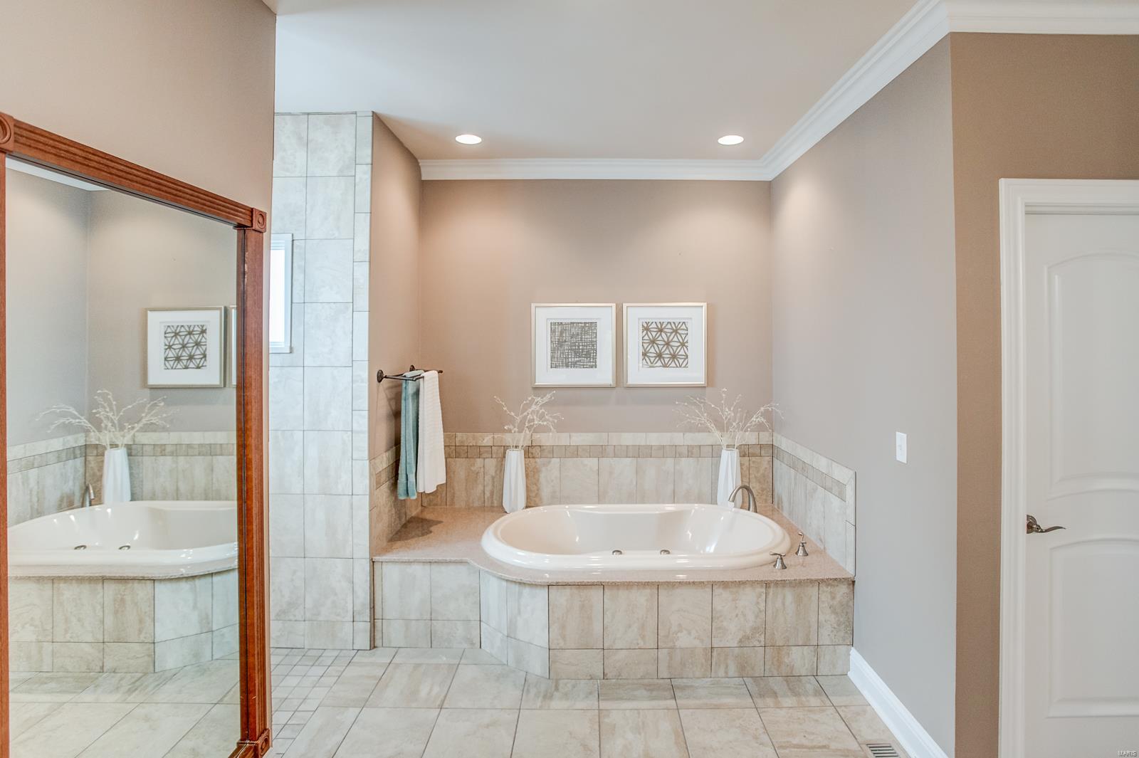 1001 Bluff Pointe Court Caseyville, IL 62232 - Photo 41 of 94