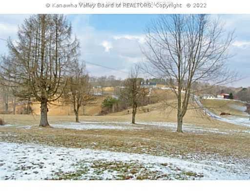 256 Low Gap Road Red House, WV 25168 - Photo 10 of 10 Land.