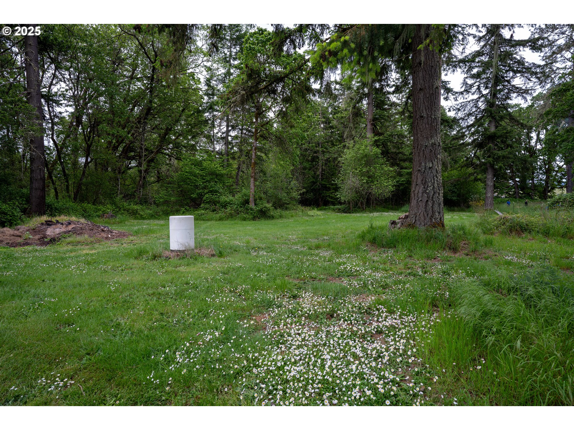 87554 Miller Road Veneta, OR 97487 - Photo 46 of 48