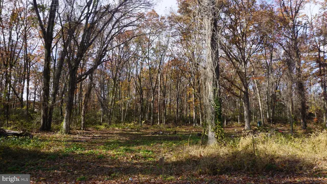 a view of swimming pool with a yard