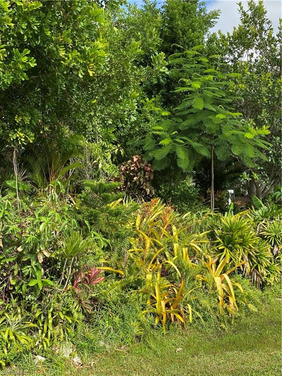 1460 Charles Road Fort Myers, FL 33919 - Photo 28 of 35