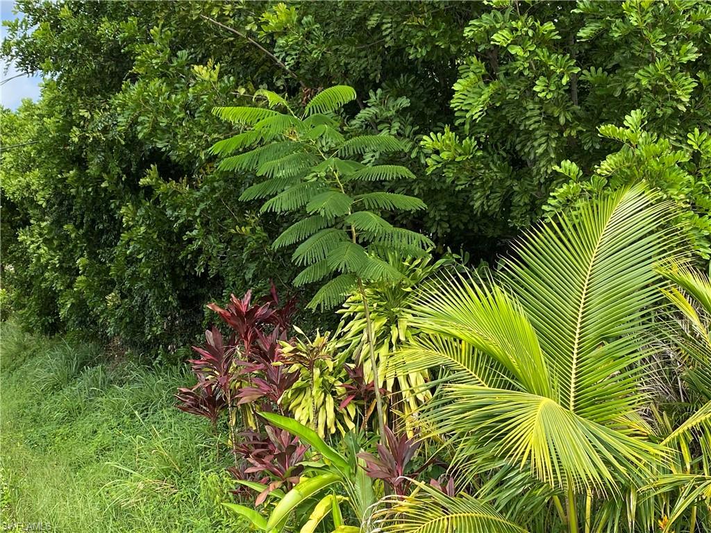 1460 Charles Road Fort Myers, FL 33919 - Photo 29 of 35