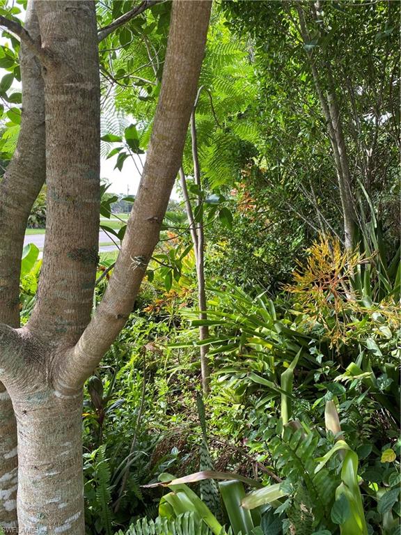 1460 Charles Road Fort Myers, FL 33919 - Photo 32 of 35