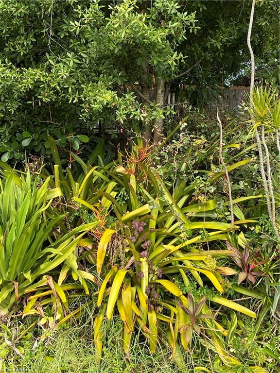 1460 Charles Road Fort Myers, FL 33919 - Photo 34 of 35