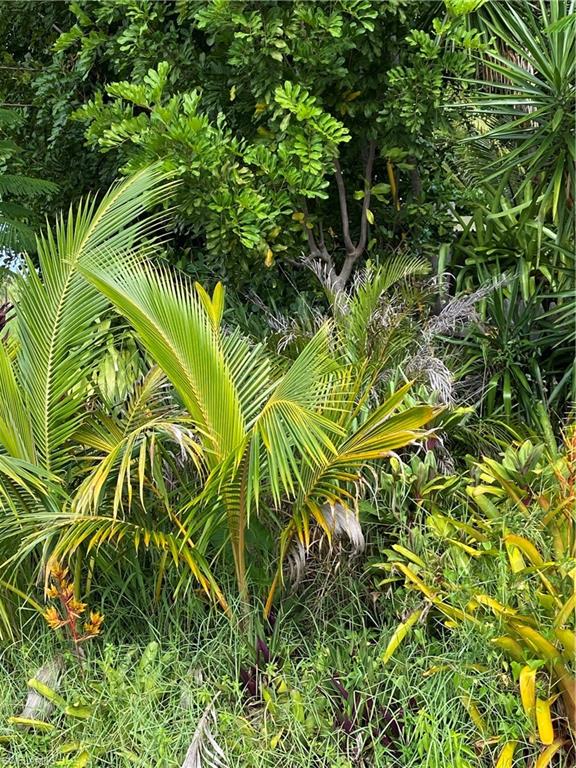 1460 Charles Road Fort Myers, FL 33919 - Photo 35 of 35