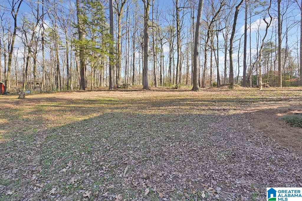 2329 Montevallo Road Southwest Leeds, AL 35094 - Photo 32 of 32