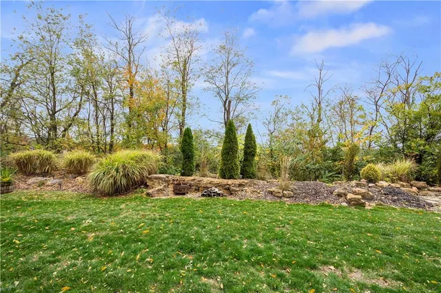 a view of yard with green space