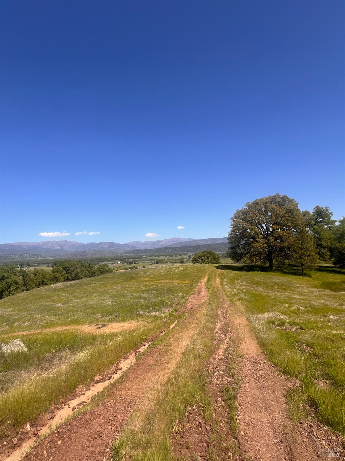 23040 Poonkinney Road Covelo, CA 95428 - Photo 12 of 77 a view of an ocean