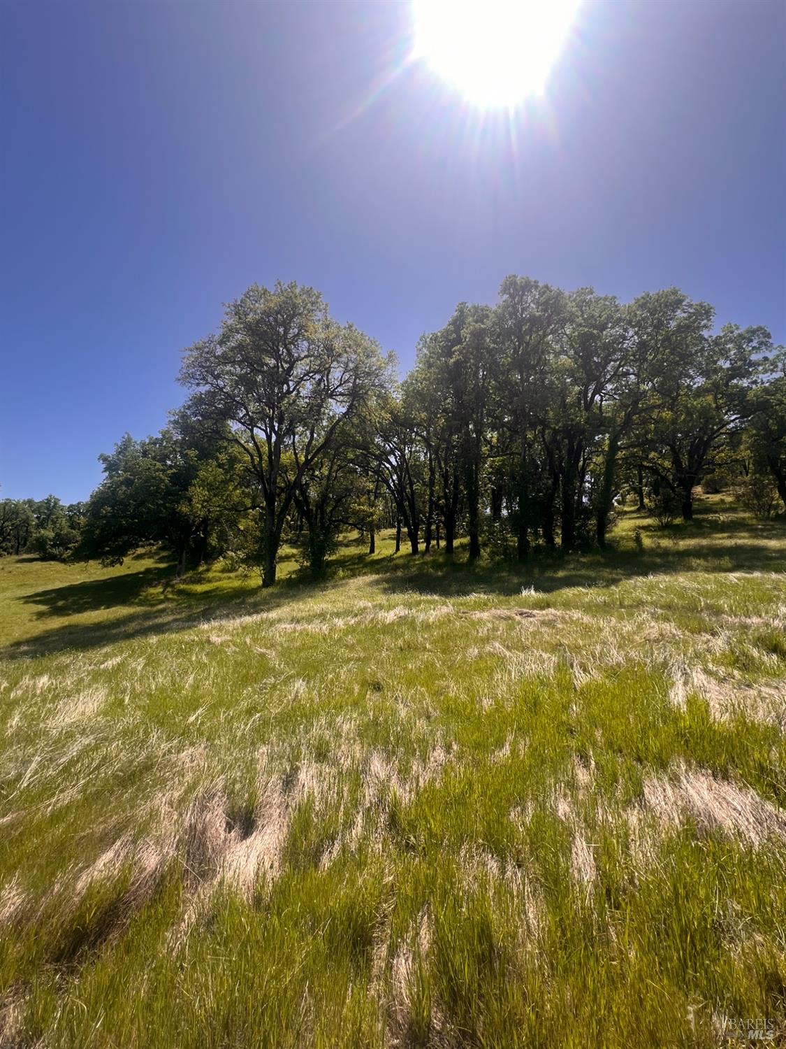 23040 Poonkinney Road Covelo, CA 95428 - Photo 13 of 77 a view of swimming pool next to a yard