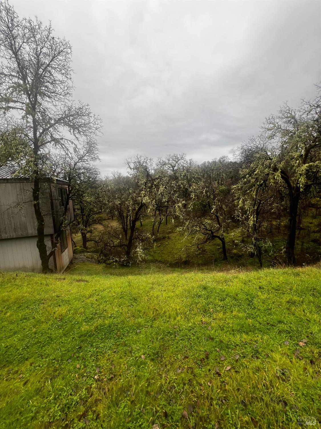 23040 Poonkinney Road Covelo, CA 95428 - Photo 39 of 77 a view of a green yard