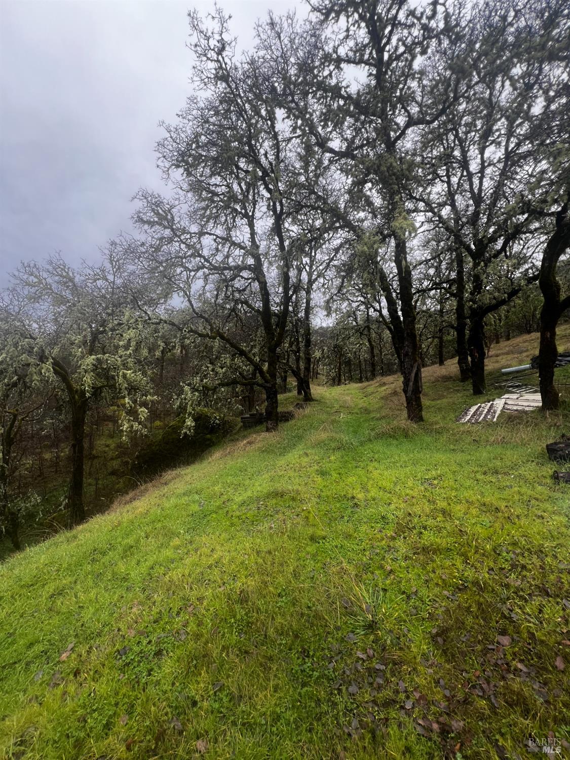 23040 Poonkinney Road Covelo, CA 95428 - Photo 40 of 77 a view of yard with trees