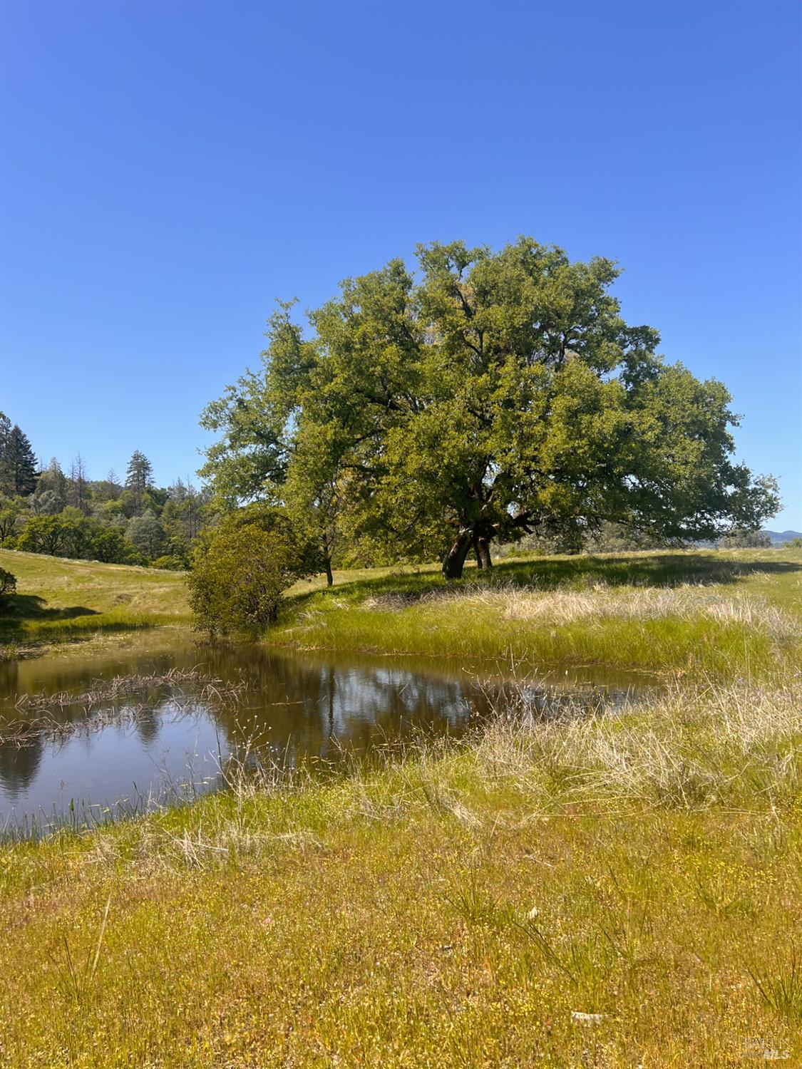 23040 Poonkinney Road Covelo, CA 95428 - Photo 4 of 77 a view of lake view