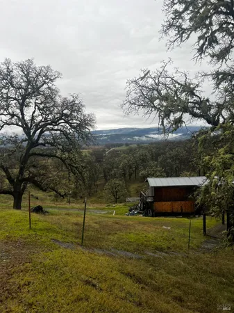 a view of a field of grass and trees