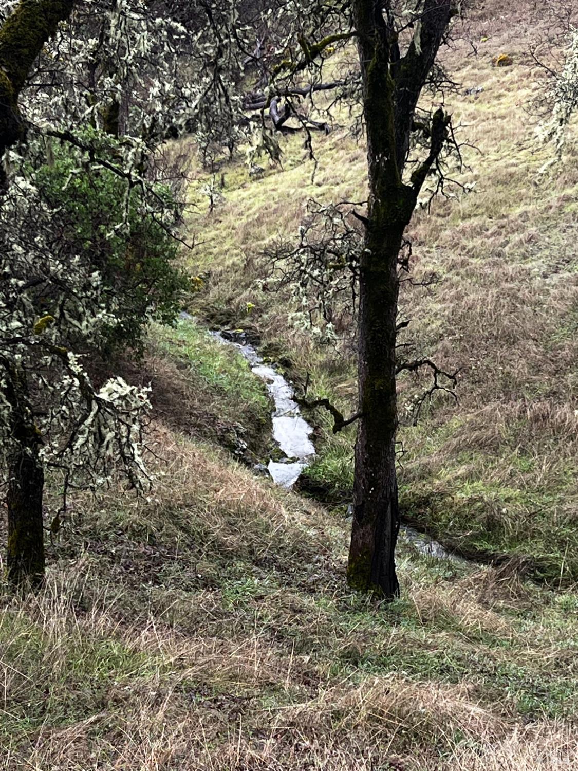 23040 Poonkinney Road Covelo, CA 95428 - Photo 43 of 77 a view of a tree in a yard
