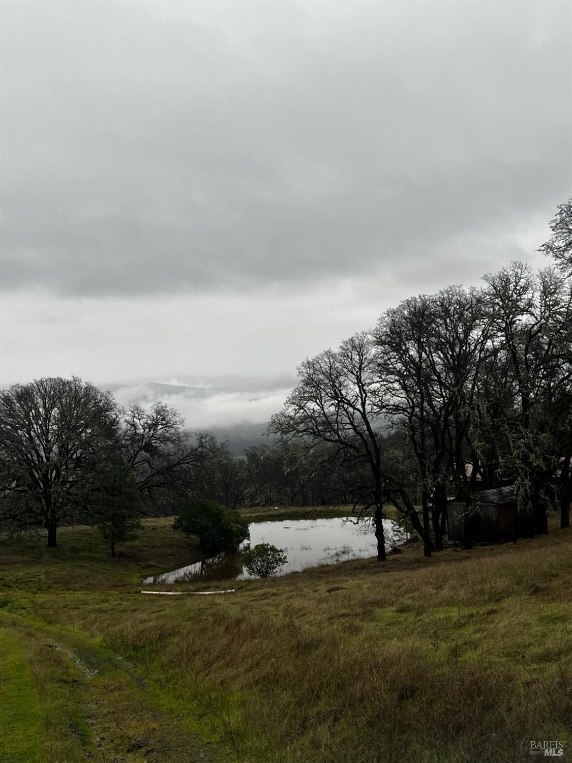 23040 Poonkinney Road Covelo, CA 95428 - Photo 65 of 77 a view of a field of grass and trees