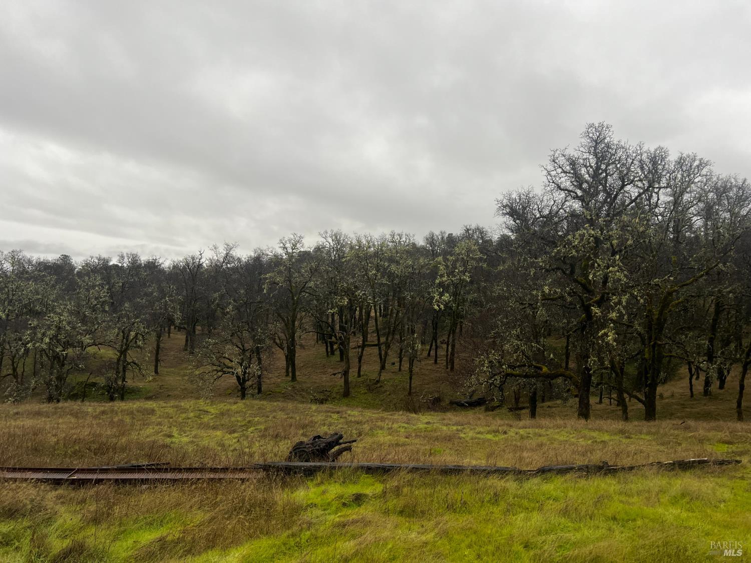 23040 Poonkinney Road Covelo, CA 95428 - Photo 67 of 77 a view of a yard with large trees