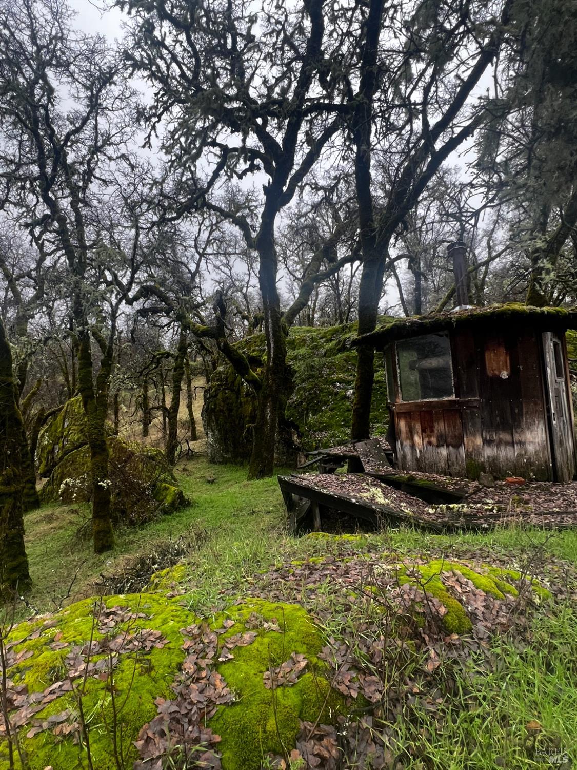 23040 Poonkinney Road Covelo, CA 95428 - Photo 76 of 77 a view of a backyard with plants and a patio