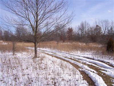 South County Line Fulton, MI 49089 - Photo 4 of 8 Additional Photo