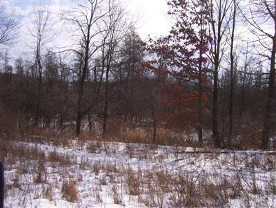 South County Line Fulton, MI 49089 - Photo 5 of 8 Additional Photo