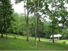 192 Shaw Road Conklin, NY 13748 - Photo 12 of 12 Gallery Image 12