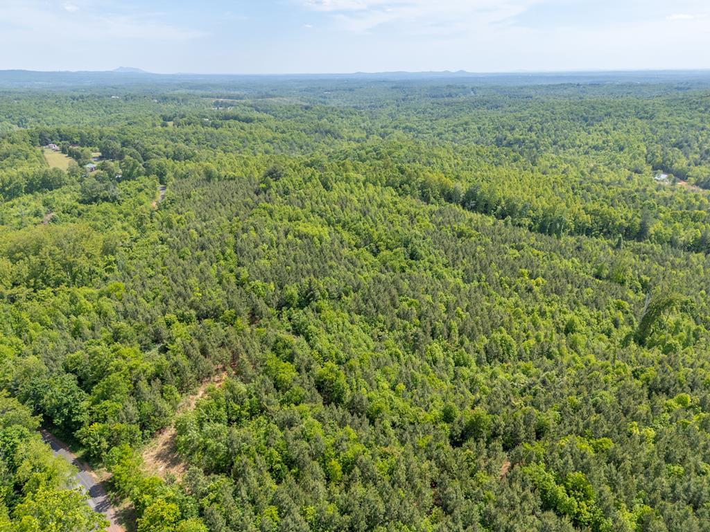 Tbd Ahart Ridge Road, Unit 58 60 61 Ararat, VA 24053 - Photo 33 of 54 Gallery Image 33