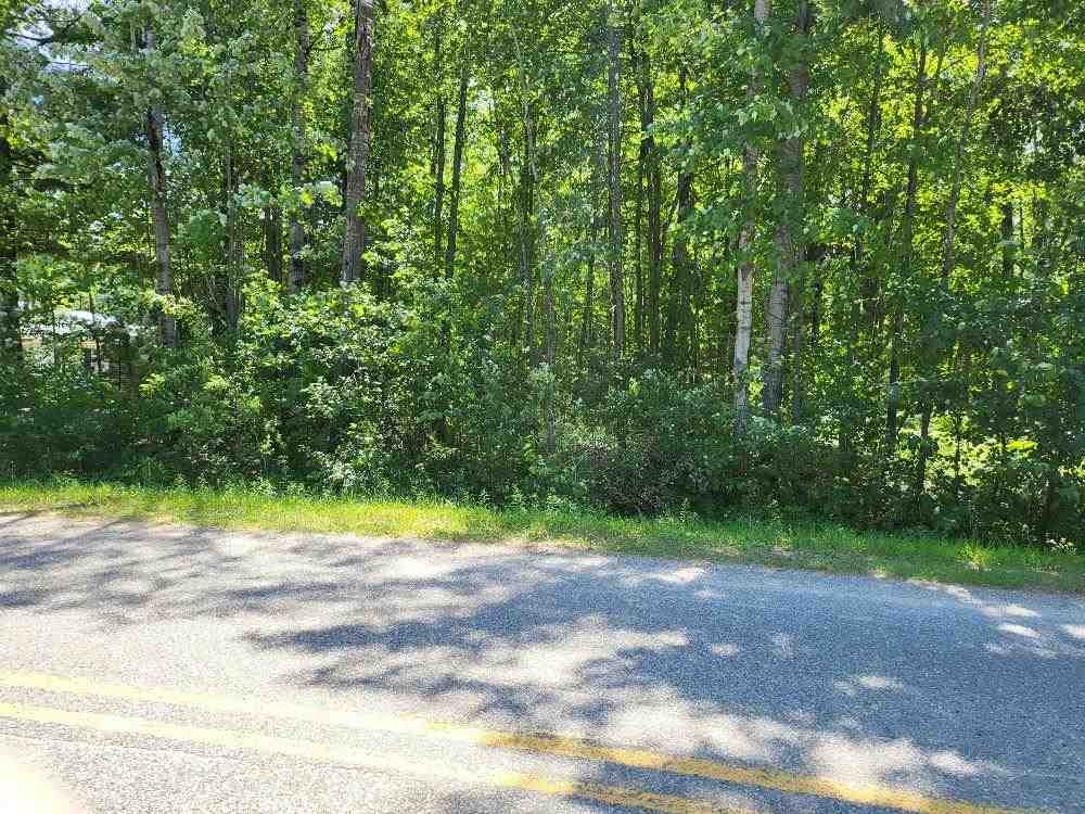 Lot 69 Pineway Drive Gladwin, MI 48624 - Photo 1 of 5