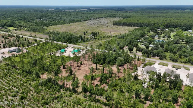a view of a bunch of trees and bushes