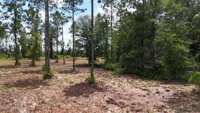 a view of outdoor space with trees