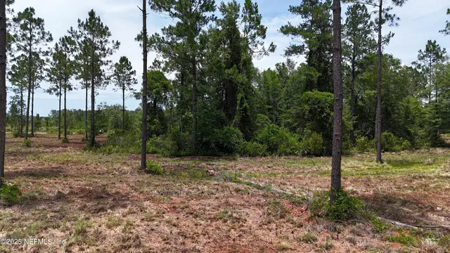a backyard of a house with lots of green space