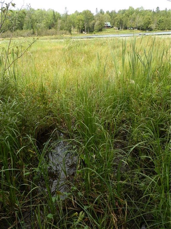 Lot 14 Pullen Road Garland, ME 04939 - Photo 16 of 20 End of access path