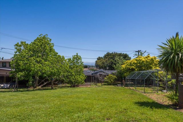 a view of a backyard with plants and a garden