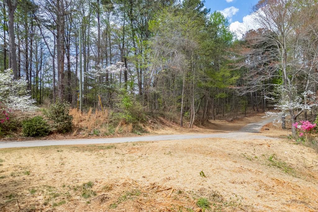 7910 Lotus Walk Cumming, GA 30041 - Photo 11 of 13