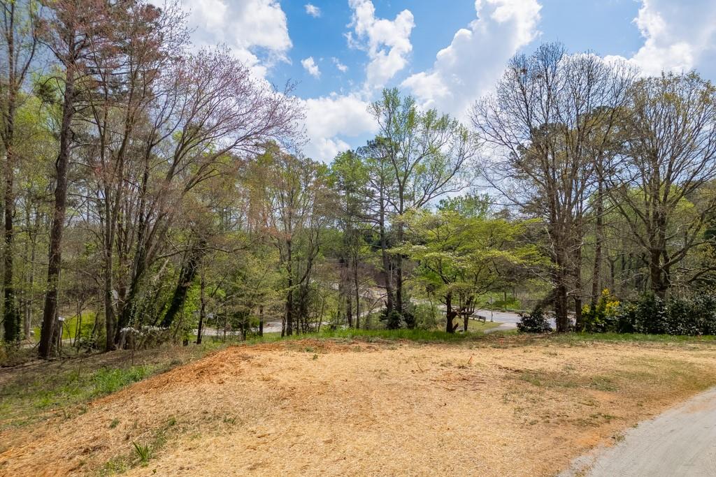 7910 Lotus Walk Cumming, GA 30041 - Photo 12 of 13