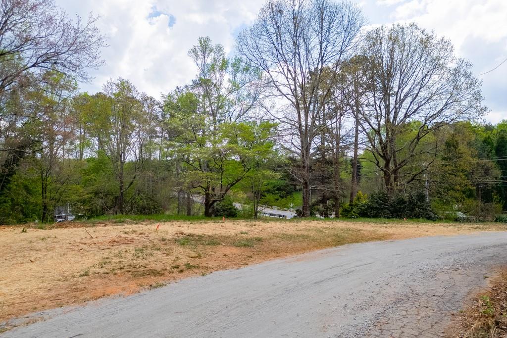 7910 Lotus Walk Cumming, GA 30041 - Photo 7 of 13