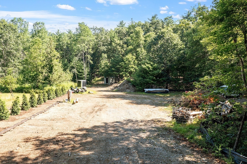 111 Squannacook Road Shirley, MA 01464 - Photo 6 of 22 a view of a yard with plants and trees