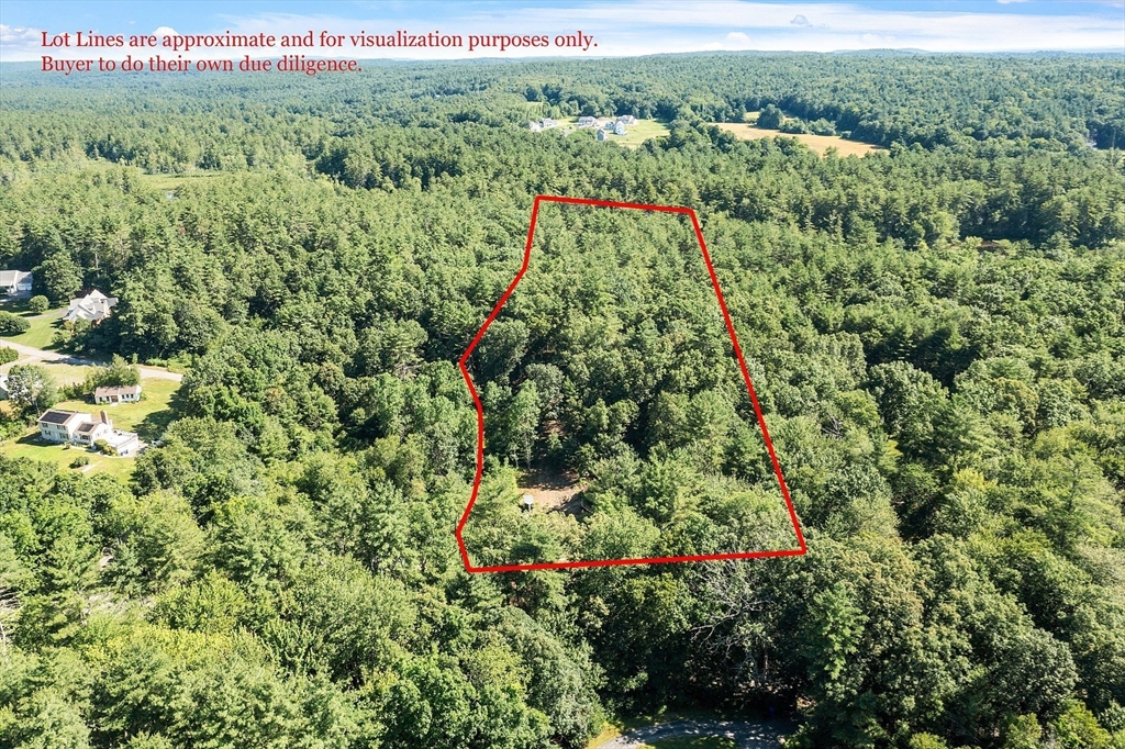 111 Squannacook Road Shirley, MA 01464 - Photo 9 of 22 a view of a lush green forest with a lush green forest