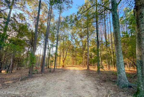 $233,500 | Mt Leopard Road, Flora, MS 39071