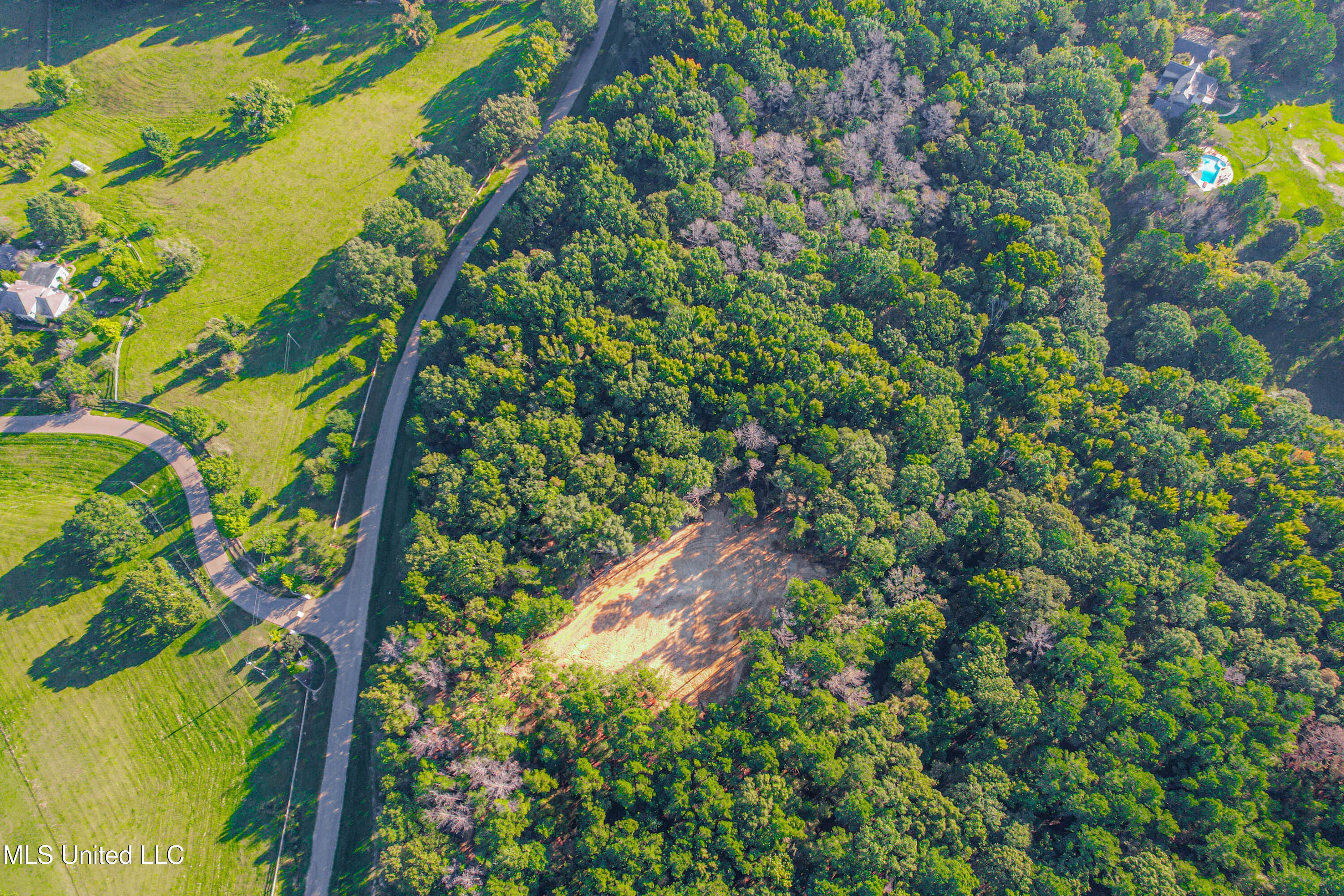 Mt Leopard Road Flora, MS 39071 - Photo 13 of 14 DJI_0318