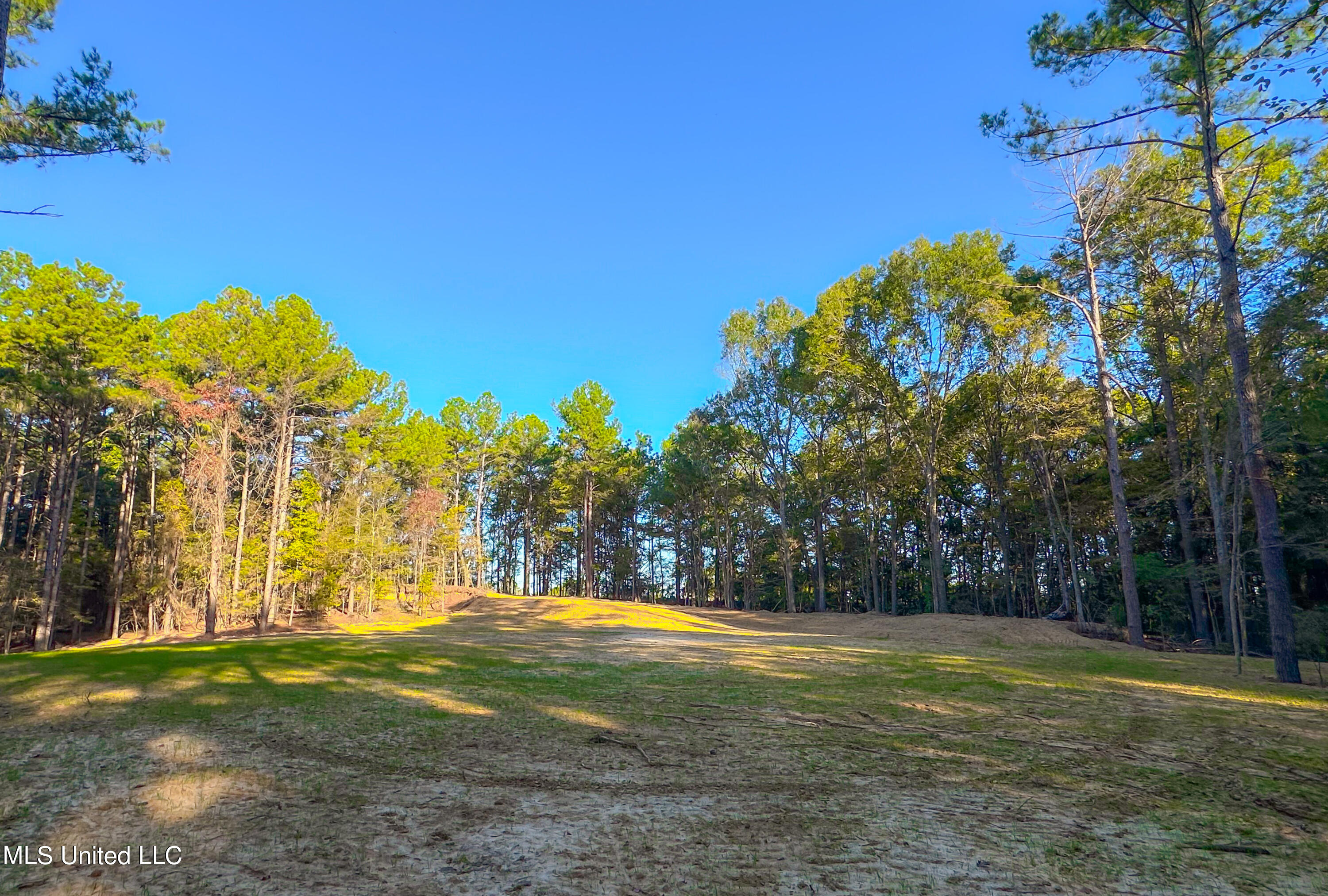 Mt Leopard Road Flora, MS 39071 - Photo 6 of 14 IMG_0764