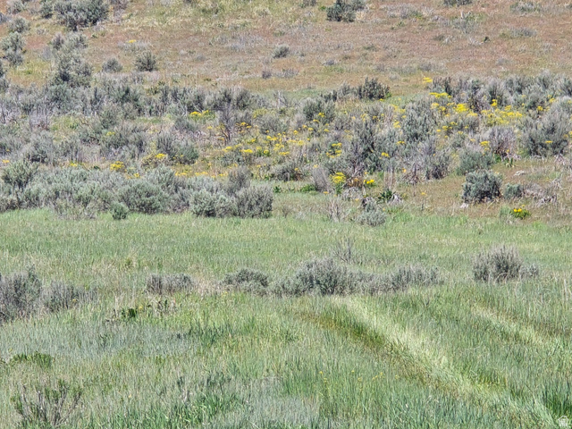 8400 North Treasurton Road, Unit CITY Preston, ID 83263 - Photo 9 of 12 Image quality insufficient for description