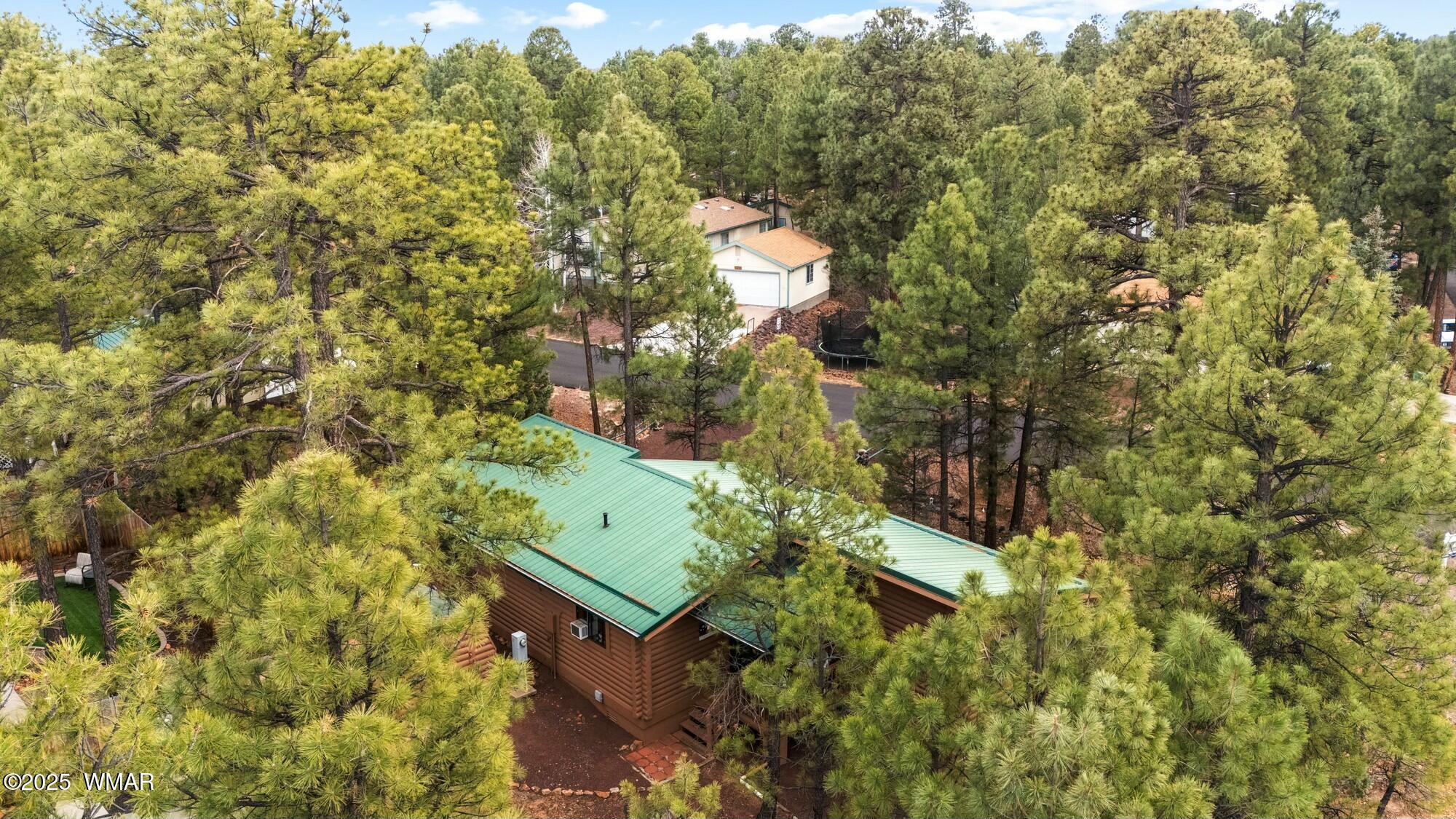 11 Timber Ridge Loop Show Low, AZ 85901 - Photo 43 of 43 tempImageHXkn5B
